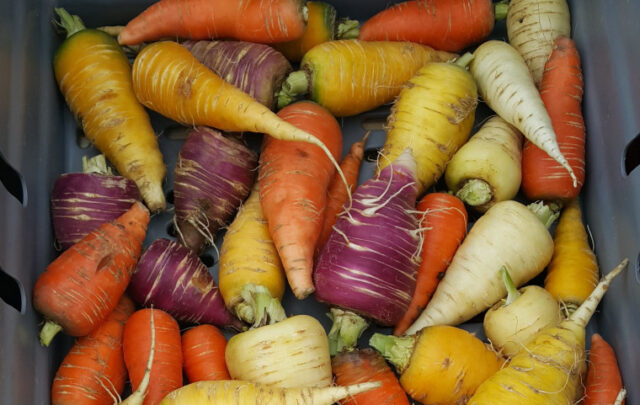 real food